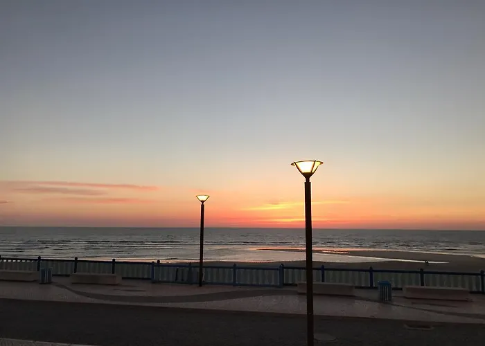 Cristal & 비에이라 데 레이리아